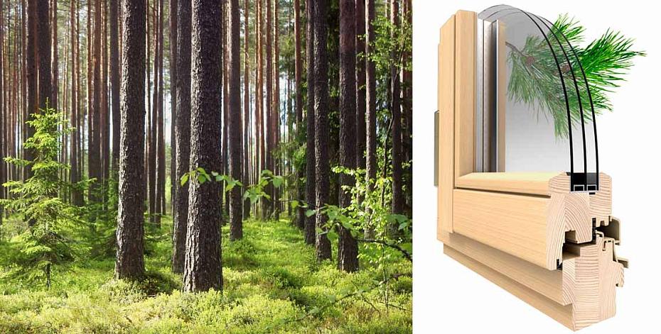 Экологичность деревянных окон: здоровье и гармония с природой